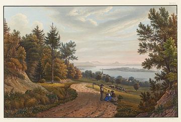 Uitzicht op het eiland Reichenau in het Bodenmeer, Johann Ludwig Bleuler