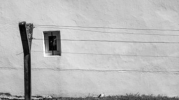 Washing line in front of a white façade by Flatfield
