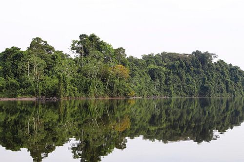 Rivier in het Amazonia regenwoud van Suriname (2)