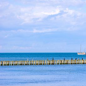 Between sky and sea by Johann Pavelka