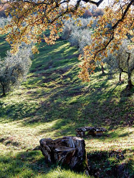 Take A Seat Umbria Italy by Dorothy Berry-Lound