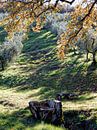 Take A Seat Umbria Italy by Dorothy Berry-Lound thumbnail