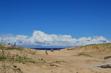 Hinter dem Strand von Frank's Awesome Travels