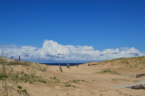 Achter het strand