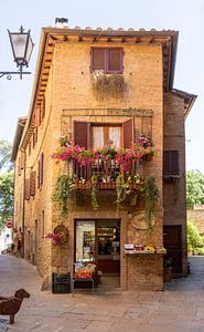 Geschäft in Pienza, Italien