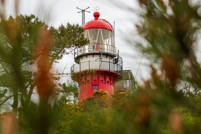 The Lighthouse of Vlieland by Ton Tolboom