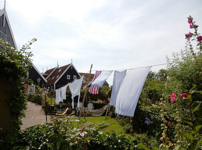Wäscheleine mit Wäscherei und Hütte im Hintergrund von Joke te Grotenhuis