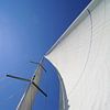Met de wind in de zeilen van Wiljo van Essen