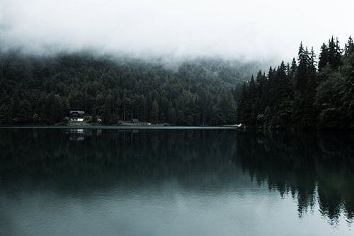 Lake in the woods