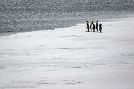 Kaiserpinguine auf Eis in McMurdosound von Family Everywhere Miniaturansicht