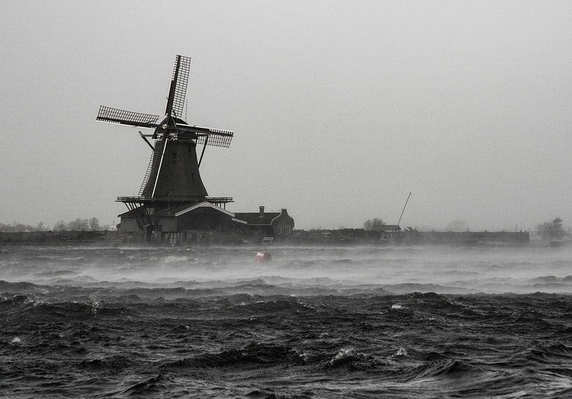 Sawmill Het Jonge Schaap Zaanse Schans by Zaankanteropavontuur