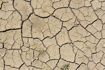 Dry earth with cracks by Ulrike Leone