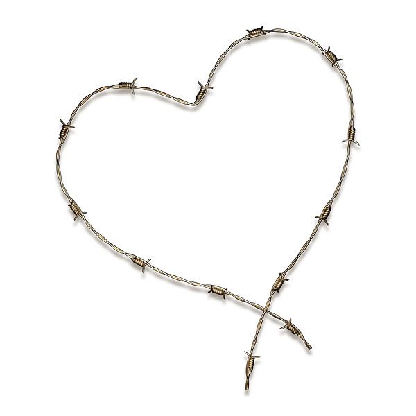 Barbed Wire Heart by Jörg Hausmann