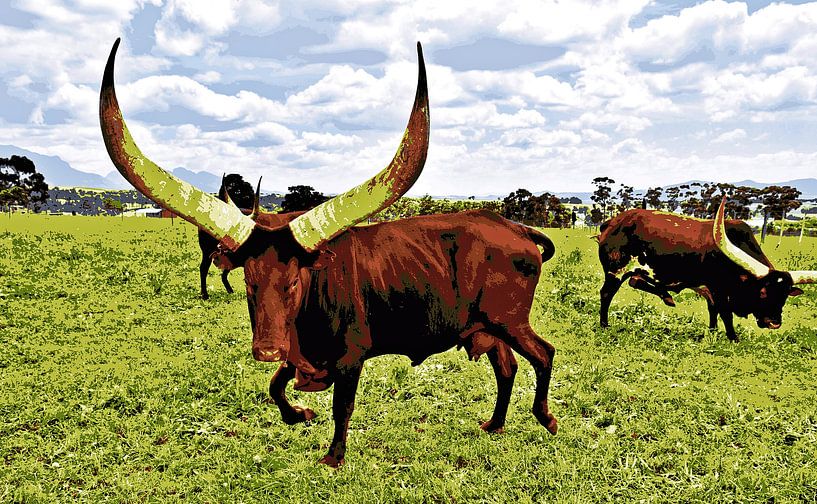 Ankole Kuh mit grossen Hoernern mixed media von Werner Lehmann