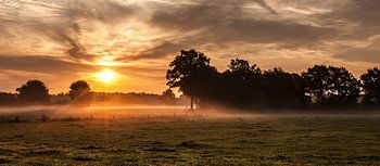Un lever de soleil chaleureux