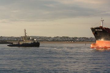 Schlepper und Frachtschiff im Hafen von IJmuiden. von scheepskijkerhavenfotografie