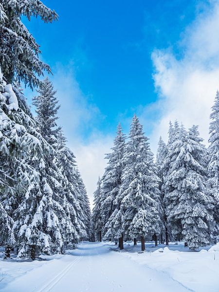 Landscape in winter in the Thuringian Forest near Schmied by Rico Ködder