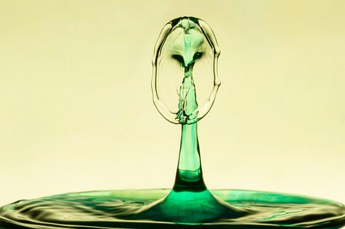 Waterdruppels/splash Uil