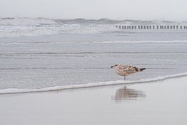Serene rust op het strand