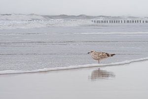 Gelassene Ruhe am Strand