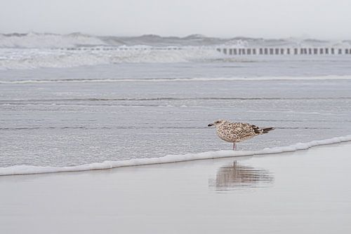 Serene rust op het strand
