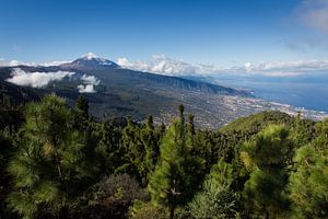 Vallée de l'Orotava sur Ulrich Brodde