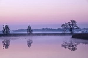 Die Natur erwacht III