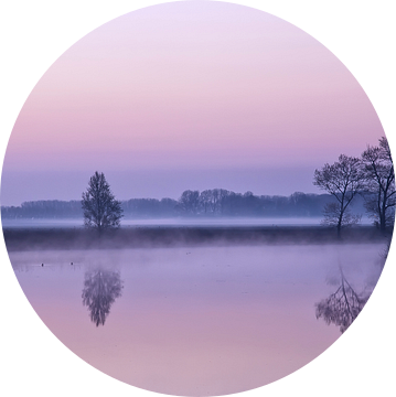 Nature Awakens III van Ellen Driesse