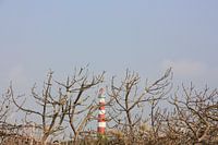 Ameland