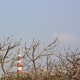 Ameland by Wim Riksen