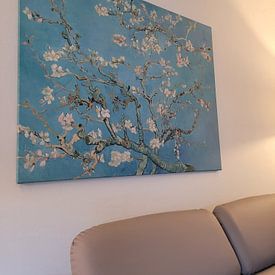 Kundenfoto: Mandelbaum in Blüte - Vincent van Gogh, auf leinwand