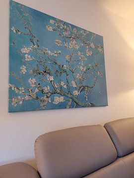 Customer photo: Almond blossom painting by Vincent van Gogh