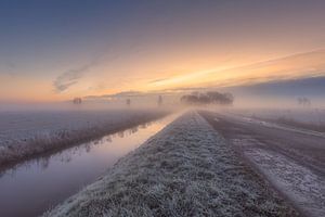 Mist in de polder sur Dennisart Fotografie