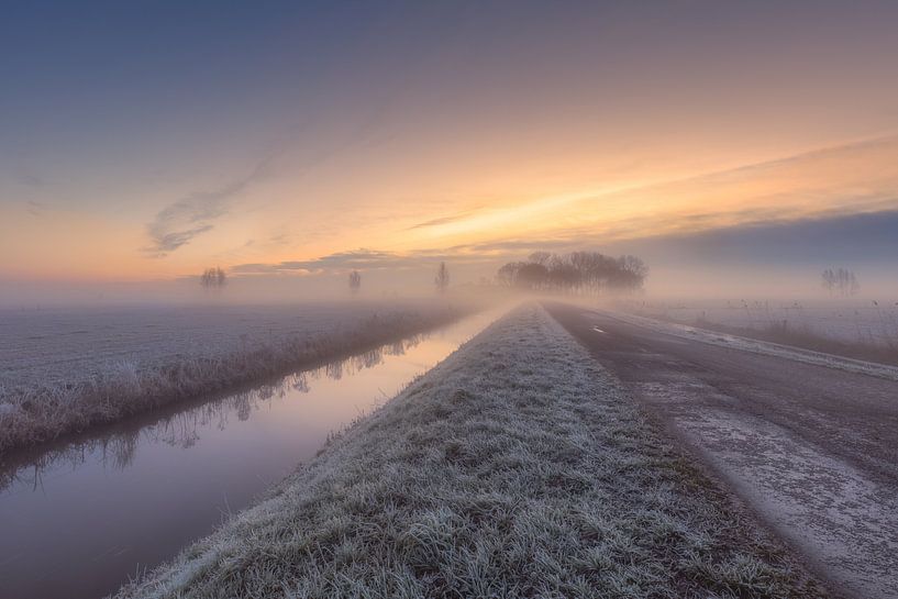 Mist in de polder von Dennisart Fotografie