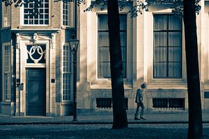 Den Haag von Louis Couperus
