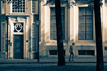 Het Den Haag van Louis Couperus van Raoul Suermondt