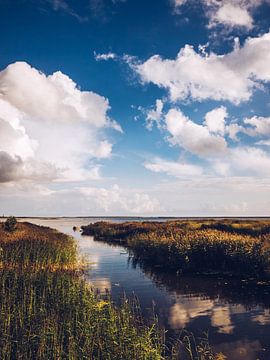 Estonia - Saaremaa van Alexander Voss