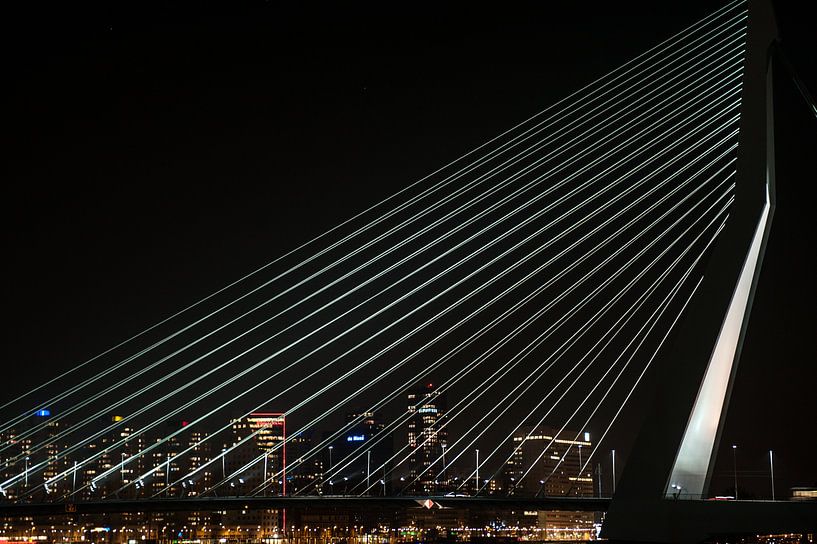 Erasmus Bridge Rotterdam by Brian Morgan
