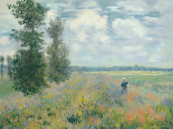 Quiet Meadow Wanderer