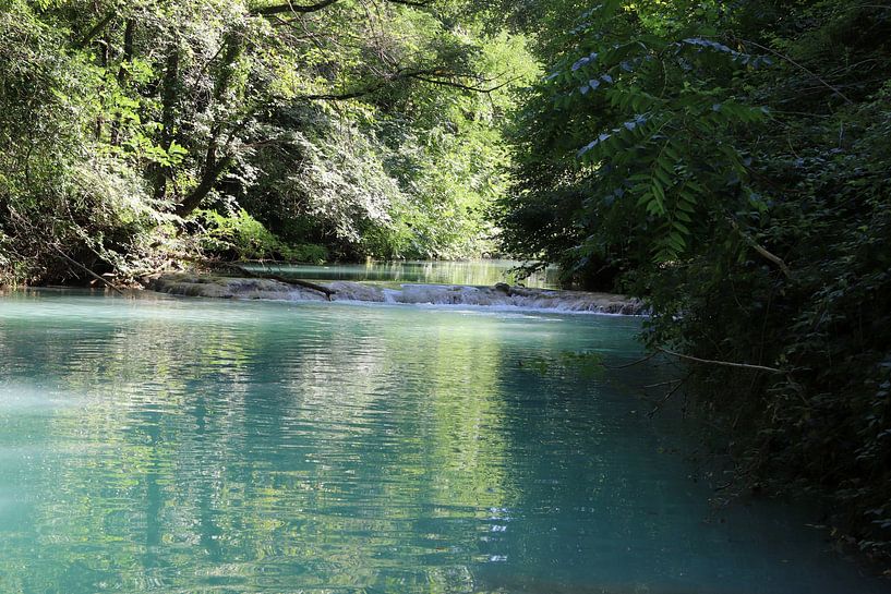 A quiet river among the trees on a sunny day by Elena Creative