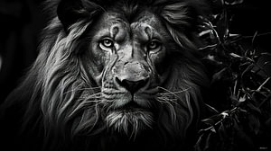 Wildtiere in Schwarz und Weiß