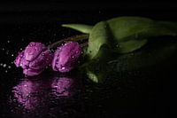 Samen sterk..
