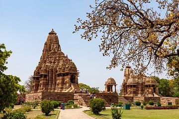 De tempels van Khajuraho in Madhya Pradesh India van Roland Brack