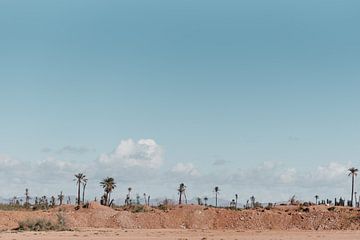 Les palmiers | Photographie de voyage au Maroc sur Yaira Bernabela