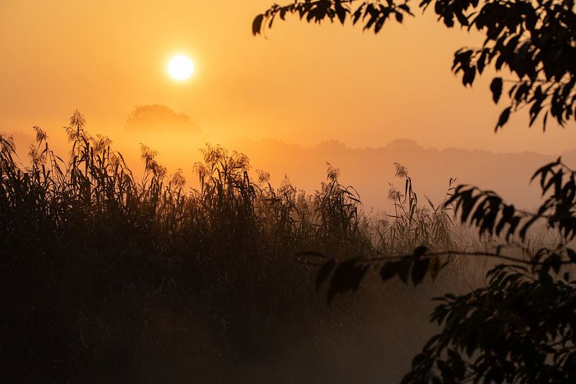 Golden hour par Jesper Oosterlaak