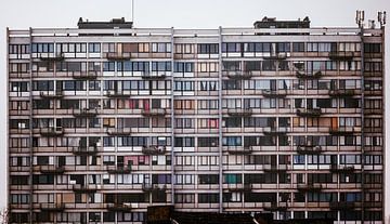 Windows of Charleroi by Omri Raviv