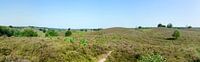 Glooiend landschap Nationaal Park Veluwezoom; panorama van Maurice Verschuur thumbnail