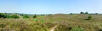 Glooiend landschap Nationaal Park Veluwezoom; panorama