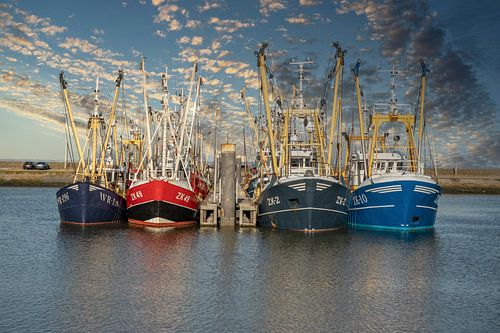 Vissersschepen in de haven van Lauwersoog