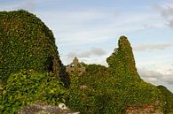 Ruïnes van de middeleeuwse kerk van Kilmacreehy van Babetts Bildergalerie thumbnail